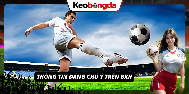 Những dữ liệu quan trọng cần chú ý trên BXH