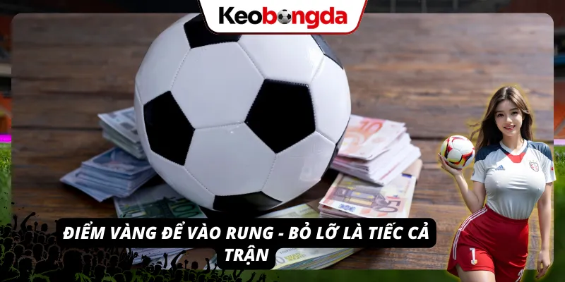 Đánh Rung Hiệp 1 Kèo Bóng Đá - Bí Kíp Ăn Gọn Thắng Lớn 2026 Thời điểm vàng đánh rung hiệp 1 Kèo Bóng Đá chuẩn nhất 2026