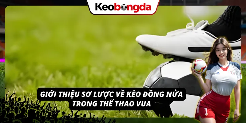 Kèo Đồng Nửa Bí Kíp Dự Đoán Cực Kỳ Chuẩn Xác Cho Newbie Thông tin cơ bản về kèo đồng nửa dành cho Newbie