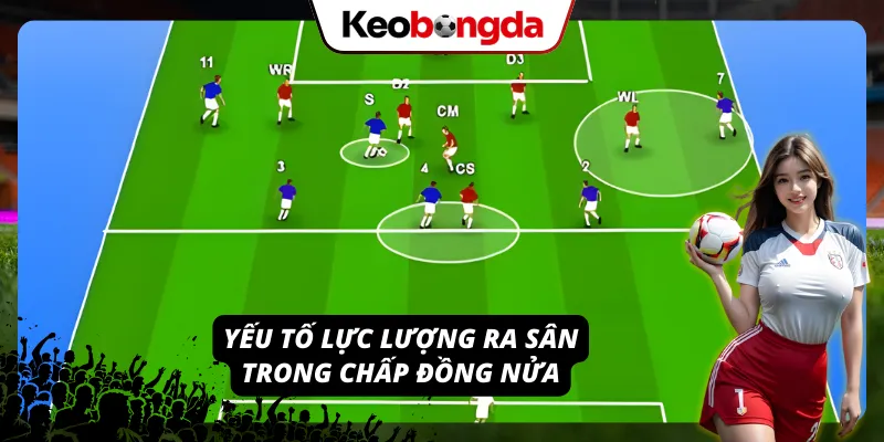 Kèo Đồng Nửa Bí Kíp Dự Đoán Cực Kỳ Chuẩn Xác Cho Newbie Tương quan lực lượng trước khi thực hiện soi kèo