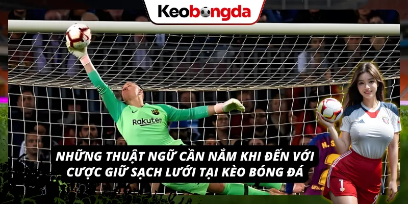 Các thuật ngữ quan trọng trong kèo giữ sạch lưới