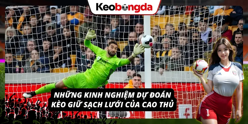 Một vài bí quyết tham gia cược sạch lưới thắng lớn