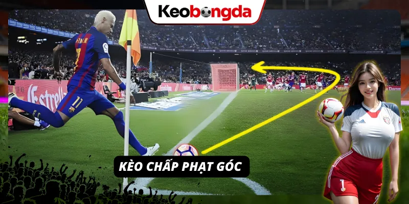 Kèo Phạt Góc- Luật Chơi, Cách Bắt kèo Và Chiến Thuật Hiệu Quả Kèo phạt góc với hình thức chấp tỷ lệ