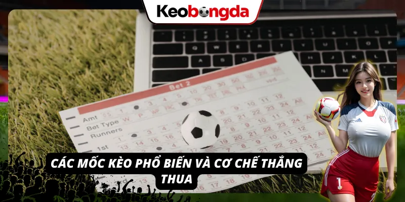 Kèo Tài Xỉu - Công Thức “Vàng” Đổi Đời Cho Các Dân Chơi Các mốc kèo phổ biến