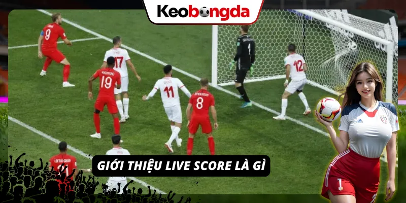 Live Score – Tỷ Số Bóng Đá Chuẩn Từng Giây Tại Kèo Bóng Đá Khái niệm live score và vai trò trong theo dõi trận đấu