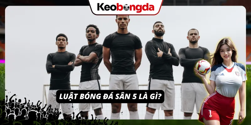 Tìm hiểu về các luật lệ dành cho sân 5 người