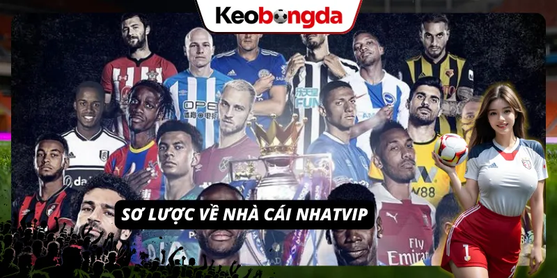 NHATVIP - Sân Chơi Đẳng Cấp, Ưu Đãi Khủng Hàng Đầu Việt Nam Tổng quan về nhà cái