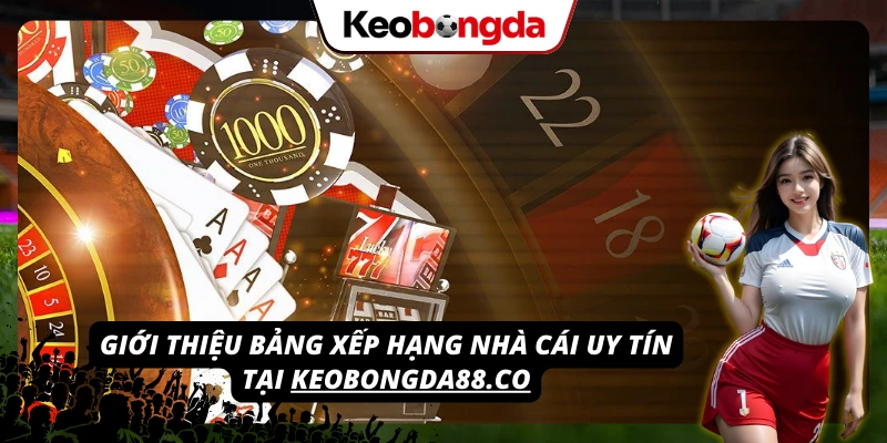 Khám phá bảng xếp hạng các nhà cái VIVU88 uy tín tại mc3d.com.mx