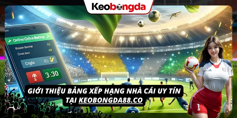 Tìm hiểu về danh sách các nhà cái chất lượng tại mc3d.com.mx