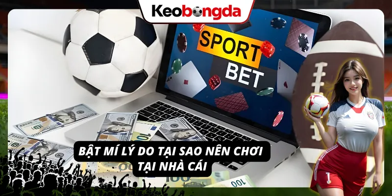 XO88 - Thiên Đường Giải Trí Trực Tuyến Uy Tín Vạn Người Mê Lý do nên cá độ tại XO88