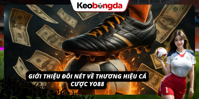 Cùng khám phá một vài thông tin cơ bản về thương hiệu cá cược YO88.