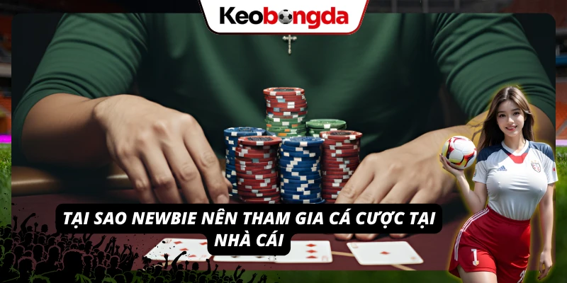 Top các lý do Newbie nên tham gia giải trí tại nền tảng nhà cái