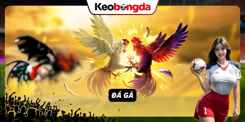 ZO88 - Thiên Đường Cá Cược Đổi Thưởng Đẳng Cấp Châu Âu 2026 Đá gà là một trong các game được mọi anh em tin chọn nhất