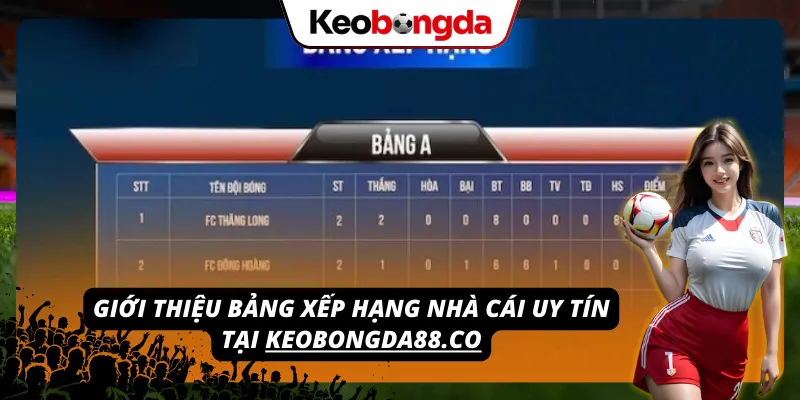 Mang đến bảng xếp hạng các đơn vị cá cược uy tín trên website mc3d.com.mx