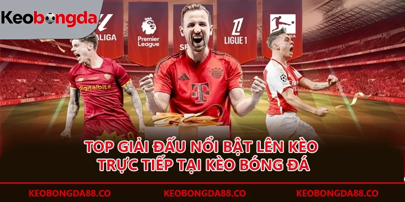 trang chủ Các giải đấu lớn tại Kèo bóng đá